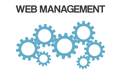 Manage your website for you